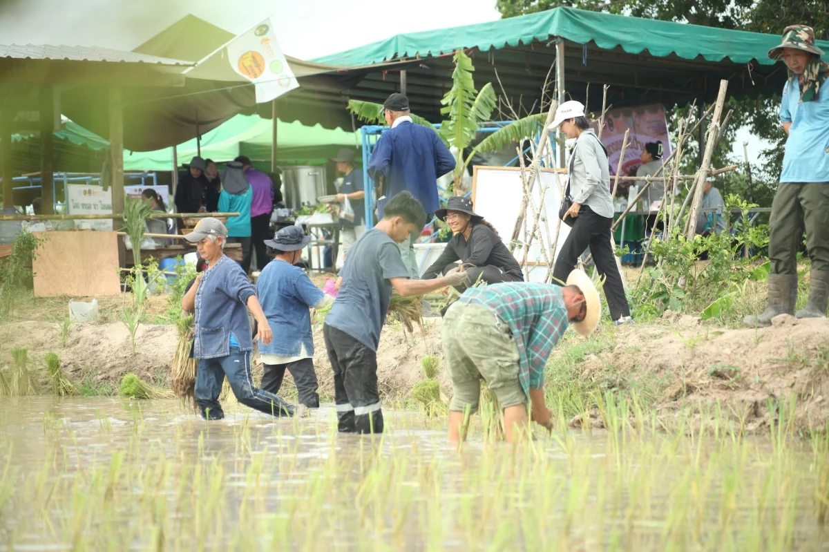 ภาพเพิ่มเติม