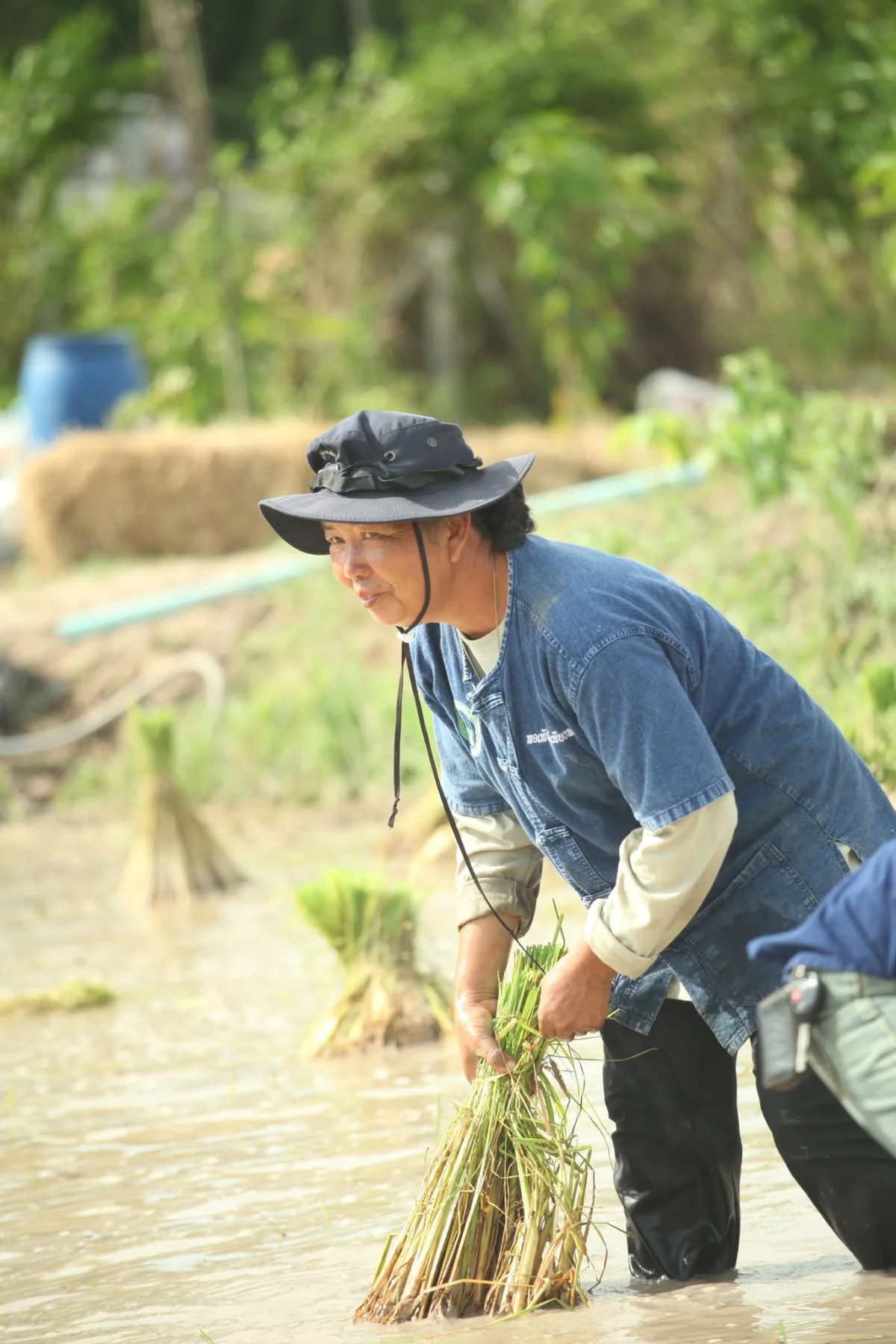 ภาพเพิ่มเติม