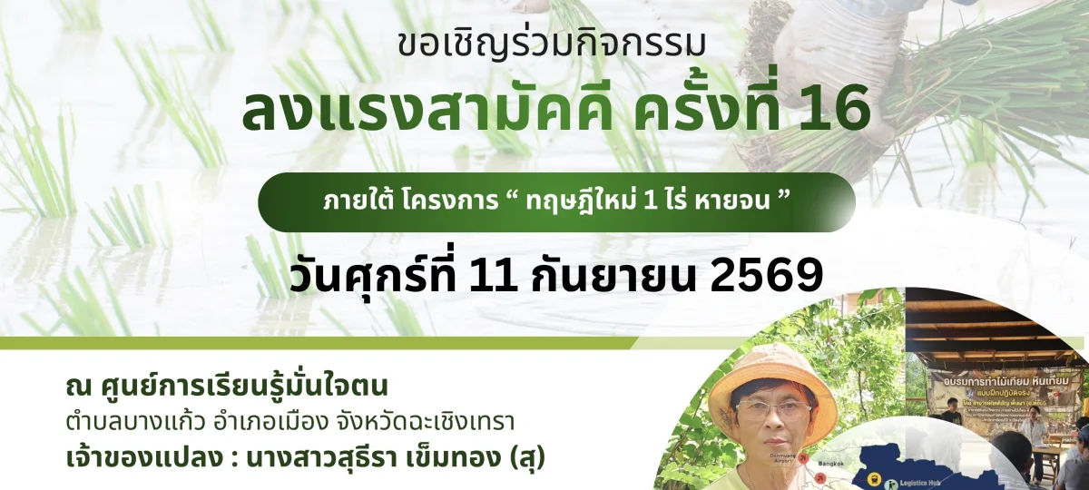 ภาพไฮไลต์