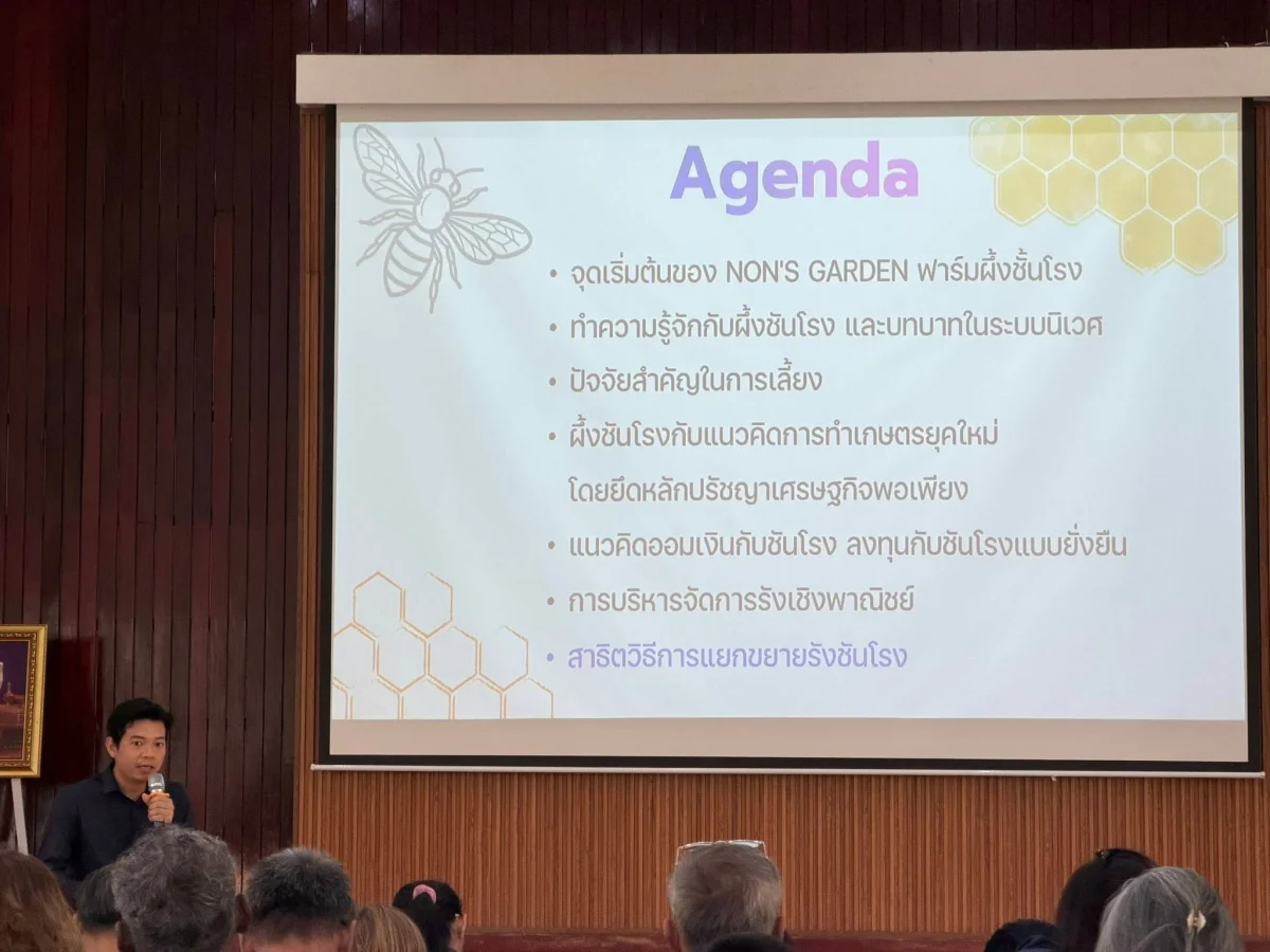 ภาพเพิ่มเติม