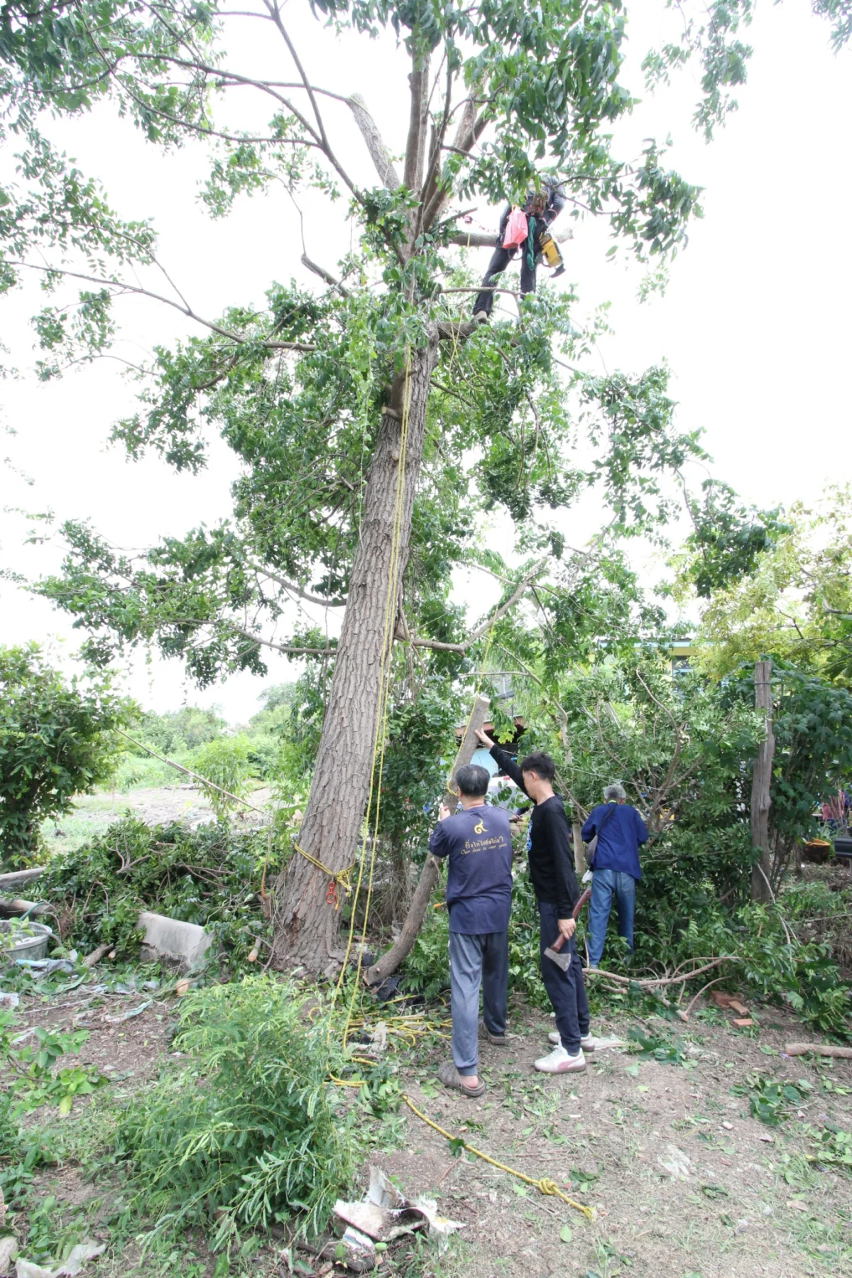 ภาพเพิ่มเติม